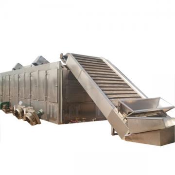 Multi-Layer Mesh Belt Dryer for Vegetables and Fruits/Nuts