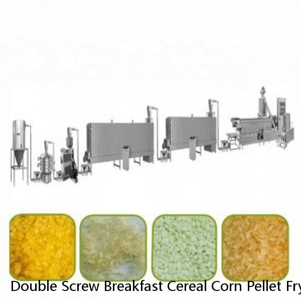 Double Screw Breakfast Cereal Corn Pellet Frying Choco Chips Pan Puff Snacks Cheese Ball Artificial Rice Soyabean Protein Bread Food Processing Making Machine