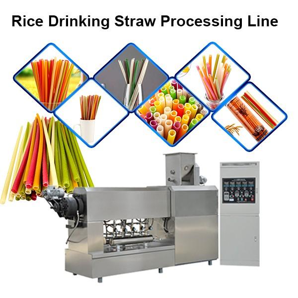 Single Screw Extruder Multi-Function Degradable Straw Rice Straw Pasta Making Machine