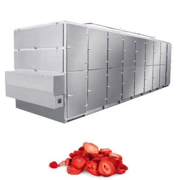 Commercial Dryer Equipment Fruits /Vegetables Air Drying Machine