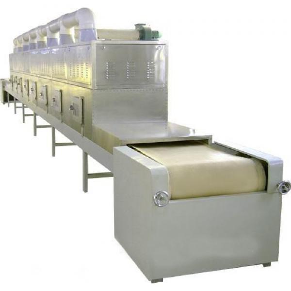 Flexible Supplied Screen Printing Belt Dryer/Drying Tunnel
