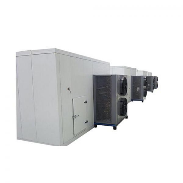 100-500kg/H Electrical Dates Fig Continous Drying Machine