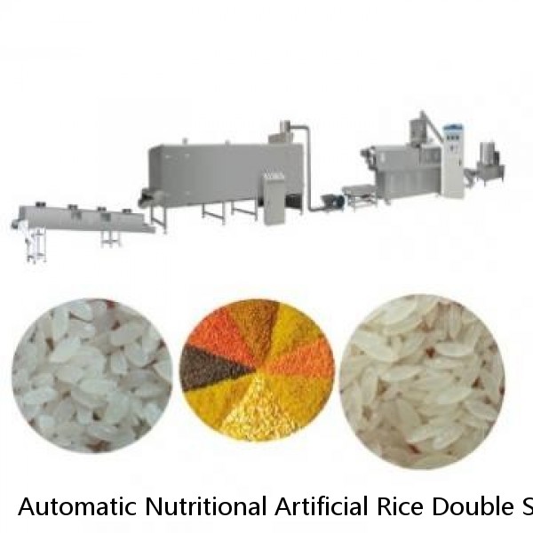 Automatic Nutritional Artificial Rice Double Screw Extruder Making Machine